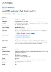 Anti-IRF5 antibody - ChIP Grade ab2932 Product datasheet 4 Abreviews 4 Images