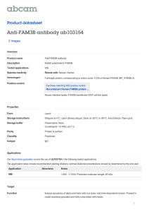 Anti-FAM3B antibody ab103154 Product datasheet 2 Images Overview