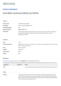 Anti-MD2 antibody [2B36] ab196530 Product datasheet Overview Product name