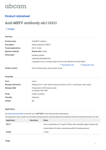 Anti-MEFV antibody ab115331 Product datasheet 2 Images Overview
