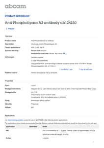 Anti-Phospholipase A2 antibody ab124230 Product datasheet 2 Images