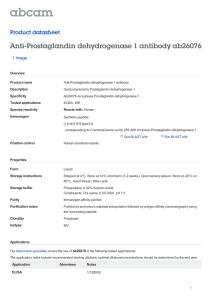 Anti-Prostaglandin dehydrogenase 1 antibody ab26076