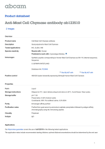 Anti-Mast Cell Chymase antibody ab123510 Product datasheet 2 Images