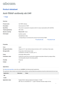 Anti-TIRAP antibody ab1349 Product datasheet 1 Image Overview