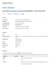 Anti-Macrophage antibody [RM0029-11H3] ab56297 Product datasheet 1 Abreviews 4 Images