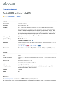 Anti-ALMS1 antibody ab4306 Product datasheet 1 Abreviews 2 Images