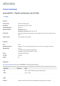 Anti-KAT5 / Tip60 antibody ab151432 Product datasheet 2 Images