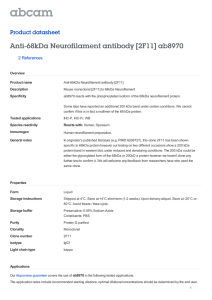 Anti-68kDa Neurofilament antibody [2F11] ab8970 Product datasheet 2 References Overview
