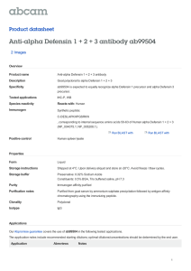 Anti-alpha Defensin 1 + 2 + 3 antibody ab99504 Product datasheet Overview