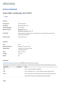 Anti-TAB1 antibody ab115575 Product datasheet 1 Image
