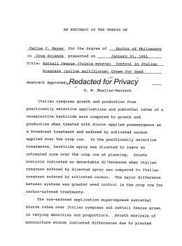 Doctor thesis abstract