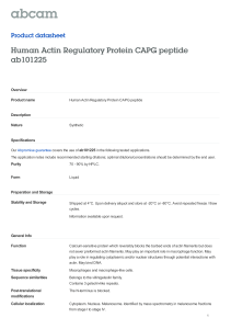 Human Actin Regulatory Protein CAPG peptide ab101225