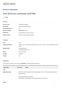 Anti-Brevican antibody ab67580 Product datasheet 1 Image