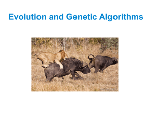 Evolution and Genetic Algorithms