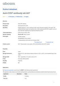 Anti-CCR7 antibody ab1657 Product datasheet 4 Abreviews 3 Images