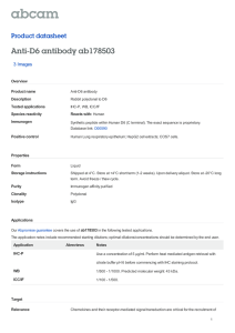 Anti-D6 antibody ab178503 Product datasheet 3 Images Overview