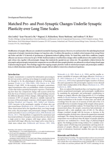 Matched Pre- and Post-Synaptic Changes Underlie Synaptic