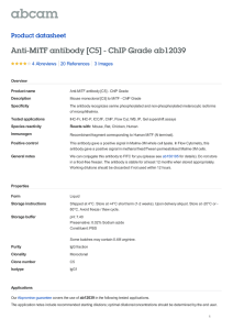 Anti-MiTF antibody [C5] - ChIP Grade ab12039 Product datasheet 4 Abreviews 3 Images