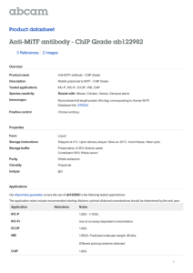 Anti-MiTF antibody - ChIP Grade ab122982 Product datasheet 3 References 2 Images