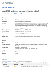 Anti-S100 antibody - Astrocyte Marker ab868 Product datasheet 13 Abreviews 4 Images