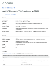 Anti-BTK (phospho Y550) antibody ab52192 Product datasheet 1 References 2 Images