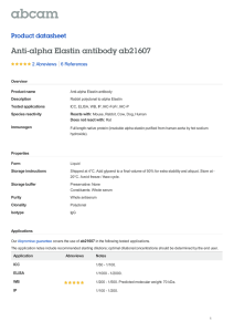 Anti-alpha Elastin antibody ab21607 Product datasheet 2 Abreviews Overview