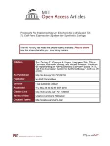 Protocols for Implementing an Escherichia coli Based TX-