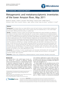 Metagenomic and metatranscriptomic inventories of the lower Amazon River, May 2011