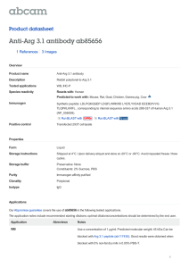 Anti-Arg 3.1 antibody ab85656 Product datasheet 1 References 3 Images