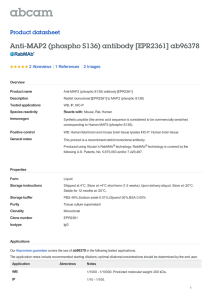 Anti-MAP2 (phospho S136) antibody [EPR2361] ab96378