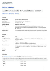 Anti-NeuN antibody - Neuronal Marker ab134014 Product datasheet 4 Abreviews 4 Images