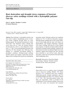 Root desiccation and drought stress responses of bareroot