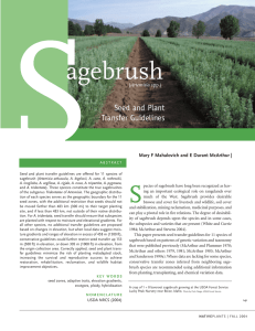 S agebrush Seed and Plant Transfer Guidelines