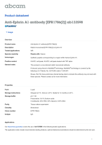 Anti-Ephrin A1 antibody [EPR1786(2)] ab133598 Product datasheet 1 Image Overview