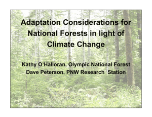 Adaptation Considerations for National Forests in light of Climate Change