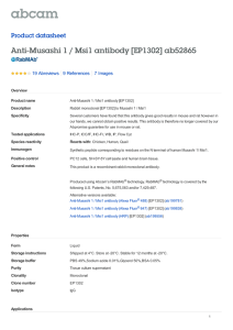 Anti-Musashi 1 / Msi1 antibody [EP1302] ab52865 Product datasheet 19 Abreviews 7 Images