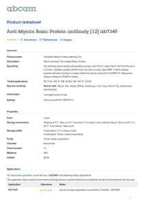 Anti-Myelin Basic Protein antibody [12] ab7349 Product datasheet 11 Abreviews 4 Images