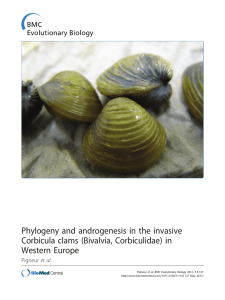 Phylogeny and androgenesis in the invasive Corbicula clams (Bivalvia, Corbiculidae) in