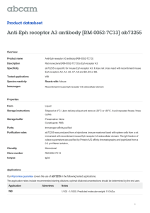 Anti-Eph receptor A3 antibody [RM-0052-7C13] ab73255
