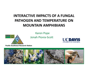 INTERACTIVE IMPACTS OF A FUNGAL PATHOGEN AND TEMPERATURE ON MOUNTAIN AMPHIBIANS Karen Pope