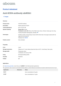 Anti-SOX4 antibody ab80261 Product datasheet 4 Images