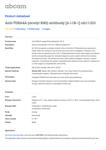 Anti-TUBA4A (acetyl K40) antibody [6-11B-1] ab11323