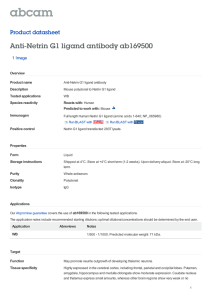 Anti-Netrin G1 ligand antibody ab169500 Product datasheet 1 Image