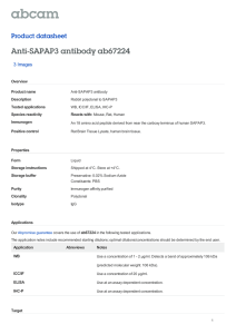 Anti-SAPAP3 antibody ab67224 Product datasheet 3 Images Overview