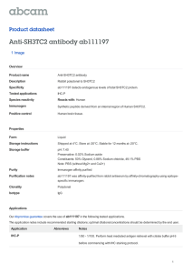 Anti-SH3TC2 antibody ab111197 Product datasheet 1 Image Overview