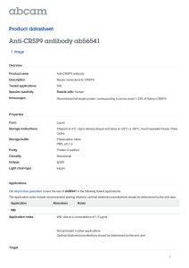 Anti-CRSP9 antibody ab56541 Product datasheet 1 Image Overview