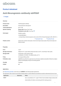 Anti-Neurogranin antibody ab99269 Product datasheet 3 Images