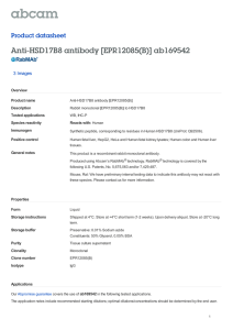 Anti-HSD17B8 antibody [EPR12085(B)] ab169542 Product datasheet 3 Images Overview