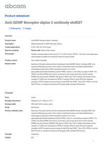 Anti-GDNF Receptor alpha 2 antibody ab8027 Product datasheet 3 References 2 Images