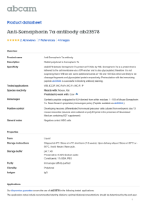 Anti-Semaphorin 7a antibody ab23578 Product datasheet 2 Abreviews 4 Images